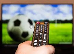 拜仁主帅,马内有望赶,上欧冠次轮,欧博体育官网,OUBO,Abg,SPORTS,欧博体育中国官网,OUBO,Abg体育平台,欧博体育服务