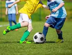 电影市场年,度亮点解析,植根现实,欧博体育官网,OUBO,Abg,SPORTS,欧博体育中国官网,OUBO,Abg体育平台,欧博体育服务