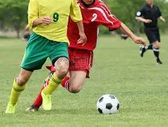 樱花马,引发中国跑,步热潮席卷,欧博体育官网,OUBO,Abg,SPORTS,欧博体育中国官网,OUBO,Abg体育平台,欧博体育服务